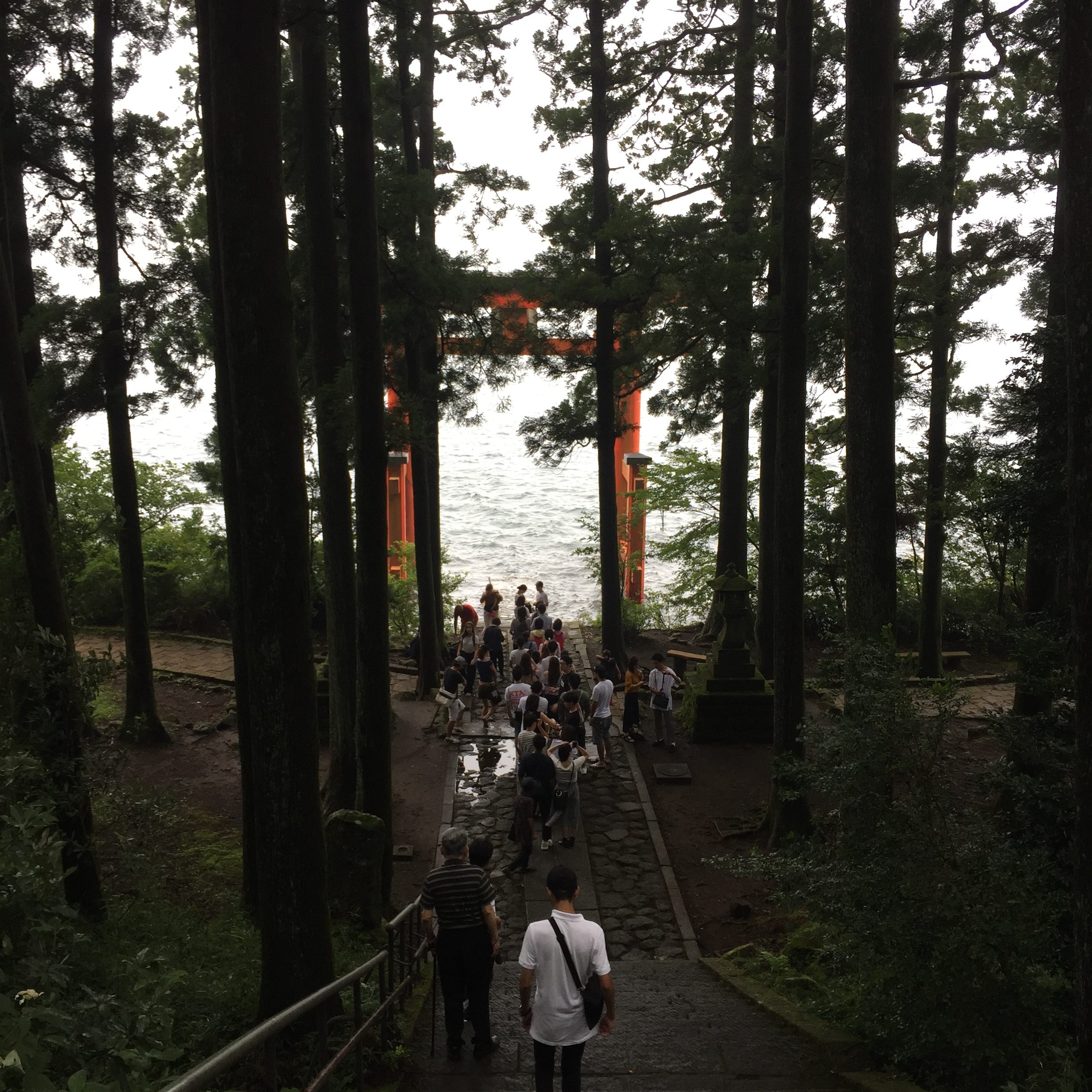 箱根｜暑い夏でも箱根のオススメ避暑ルート